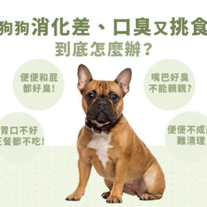 【PetWell】沛威狗保健-好胃口益生菌