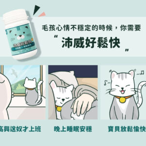 【PetWell】沛威貓用好鬆快