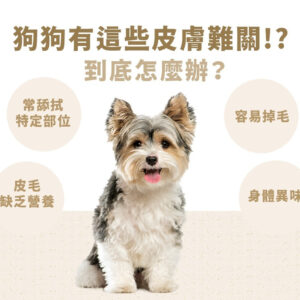 【PetWell】沛威狗保健-膚健康