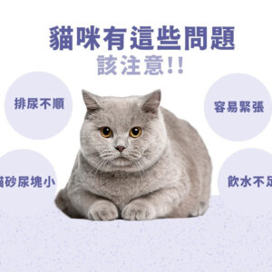 【PetWell】沛威貓保健-護泌尿